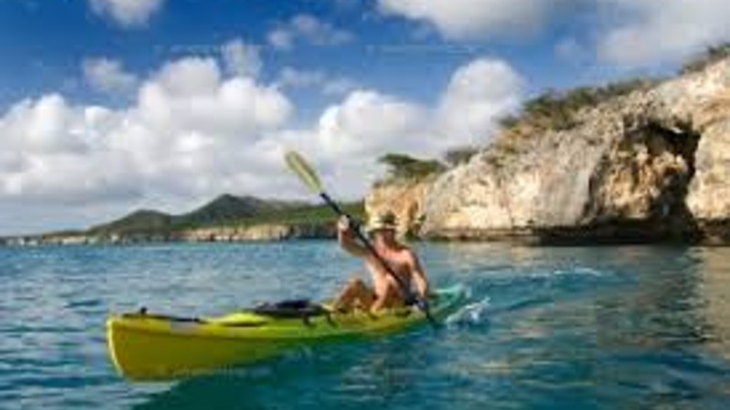 Spanish Water Mangrove Kayak Tour