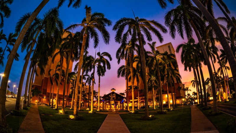 Marriott's Aruba Surf Club