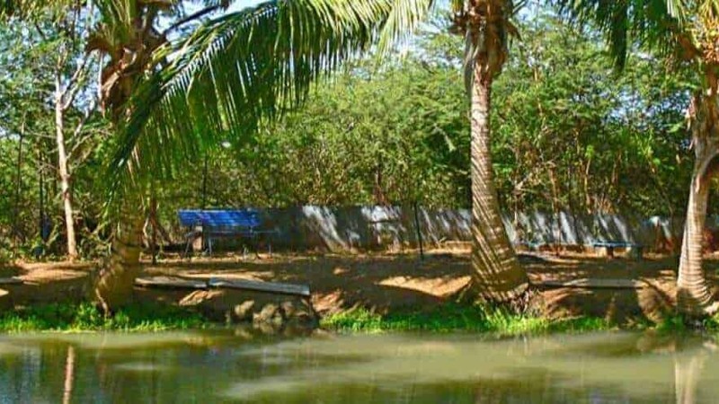 Mimi’s Eco Farm Tour