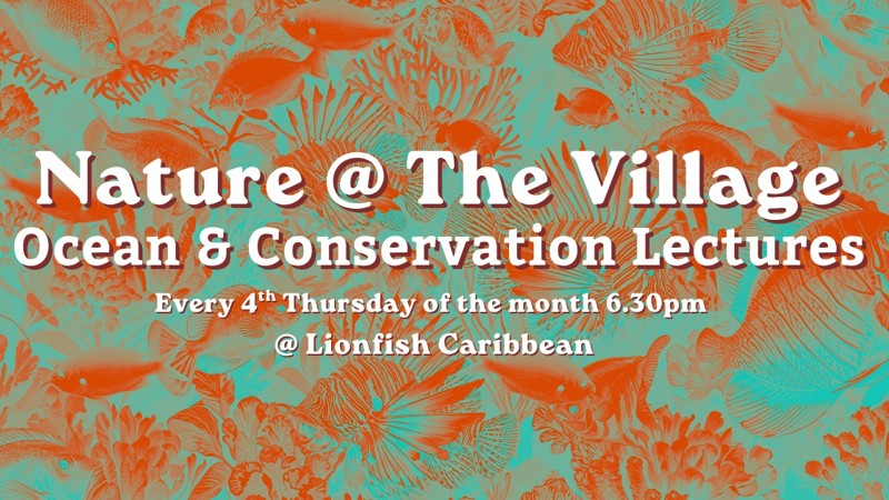 Nature @ The Village – Lionfish Caribbean