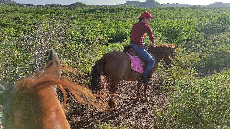 Rancho Alegre Horseback Trail Ride