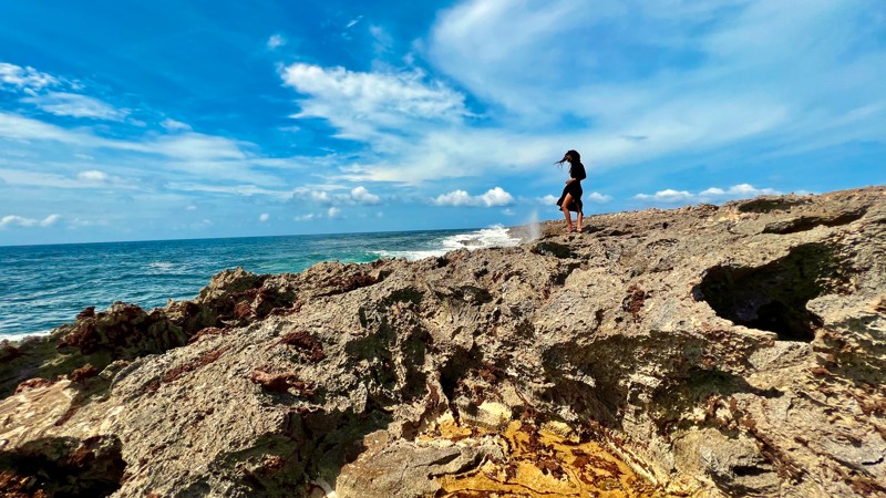 Island Experience Full-Day Tour