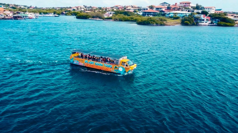 Splashy Iguana Tours