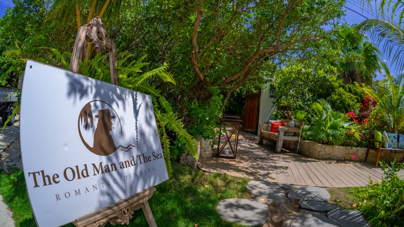 The Old Man and The Sea