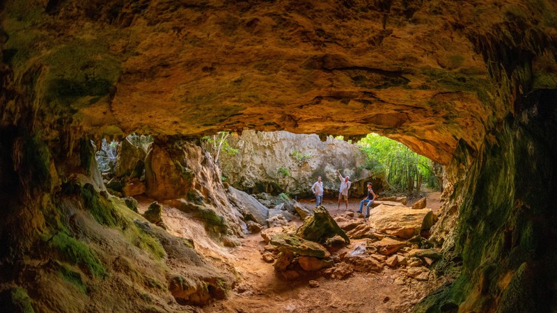 West Coast Beaches & Hidden Gems Tour