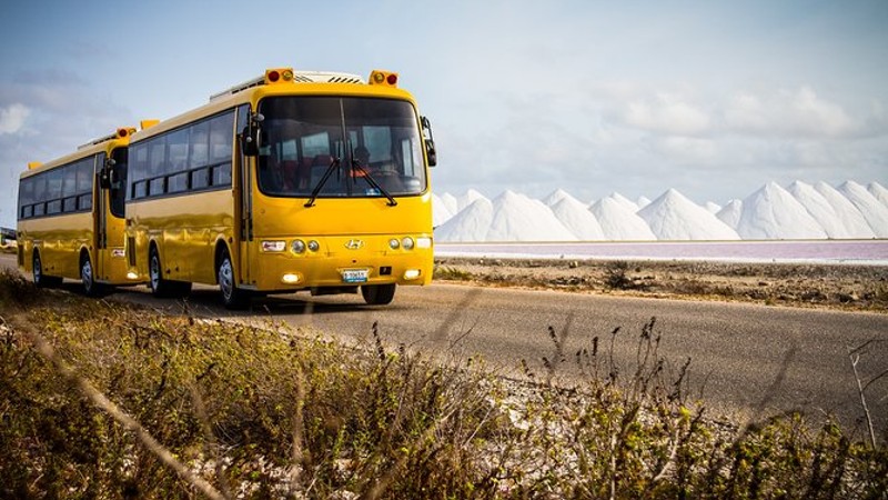 Bonaire Essentials Island Tour