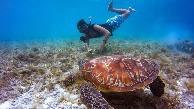 Swim & Reef Snorkeling Bonaire